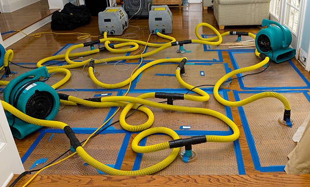 Professional Structural Drying And Dehumidification technician working in Fillmore, CA
